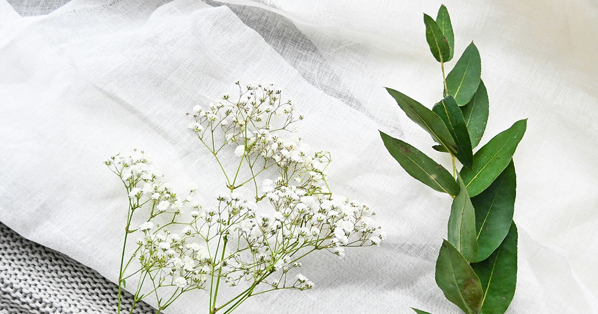 What is tencel lyocell fabric? Discover eco-friendly fabrics